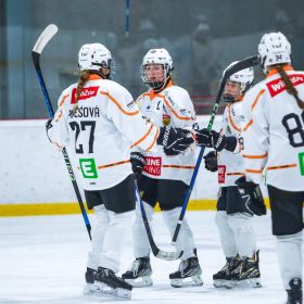 Graz99ers Huskies