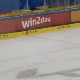 Steinbach Black Wings Linz