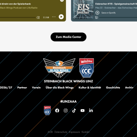 Steinbach Black Wings Linz